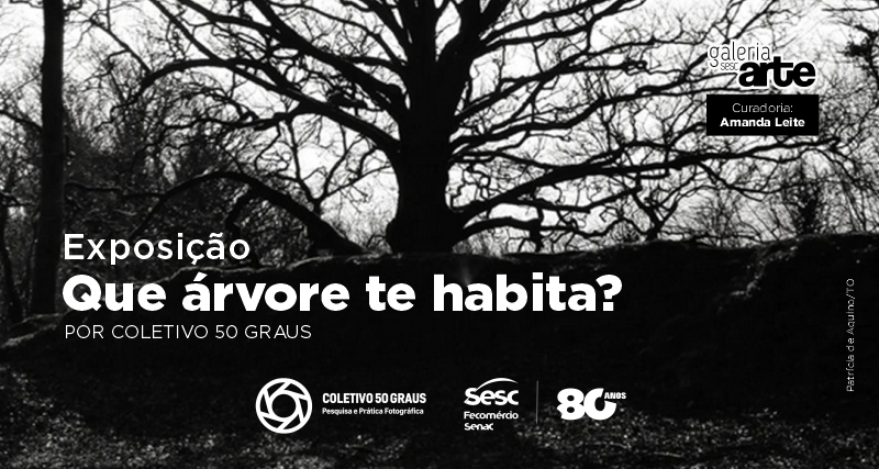 Galeria de Artes do Sesc Palmas recebe exposição coletiva “Que Árvore te Habita?”, do Coletivo 50 Graus